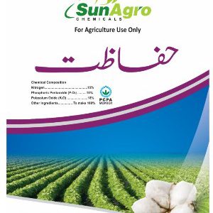 HIFAZAT 1KG (حفاظت)