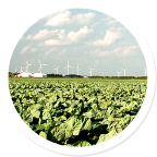 RESEARCH & DEVELOPMENT