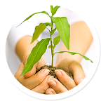 TECHNOLOGIES & PARTNERING