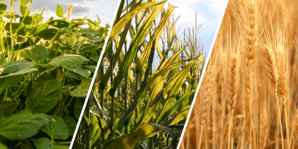 twitter-website-card-1024x512 (2)